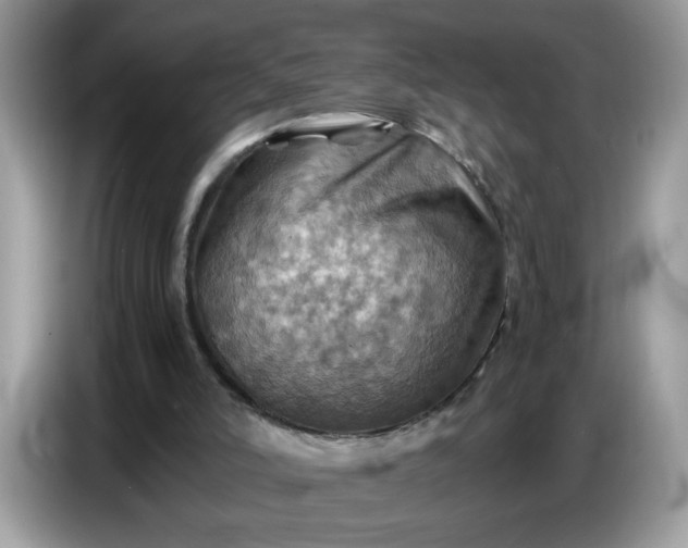 X0000086770006200704271759