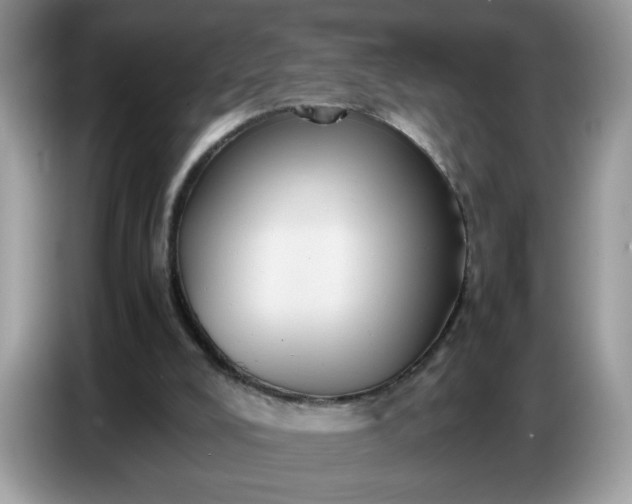 X0000086770008200704271759