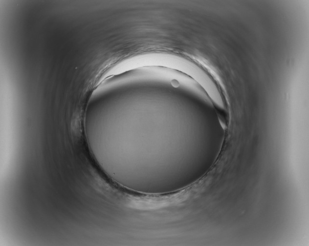 X0000086770009200704271759