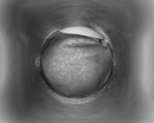 X0000086770010200704271759