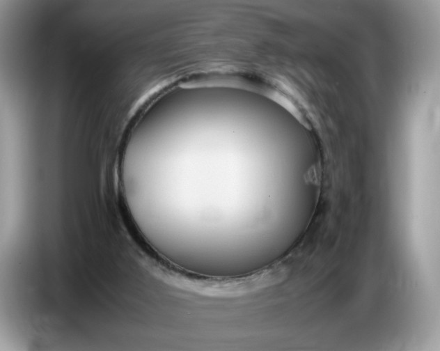X0000086770011200704271759