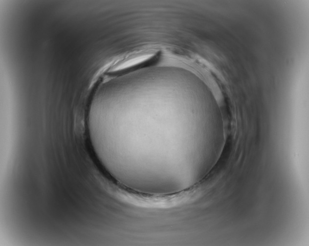 X0000086770015200704271759