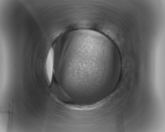 X0000086770017200704271759