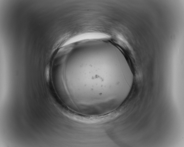 X0000086770019200704271759