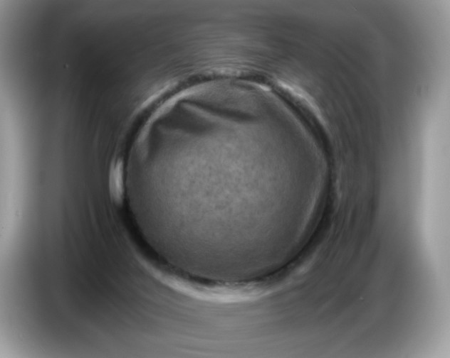X0000086770020200704271759