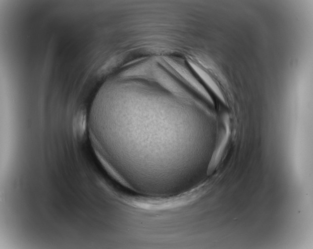 X0000086770021200704271759