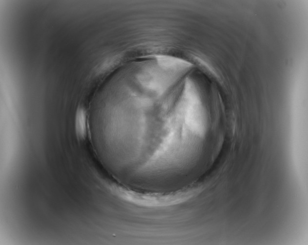 X0000086770022200704271759