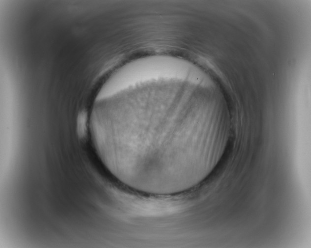 X0000086770024200704271759