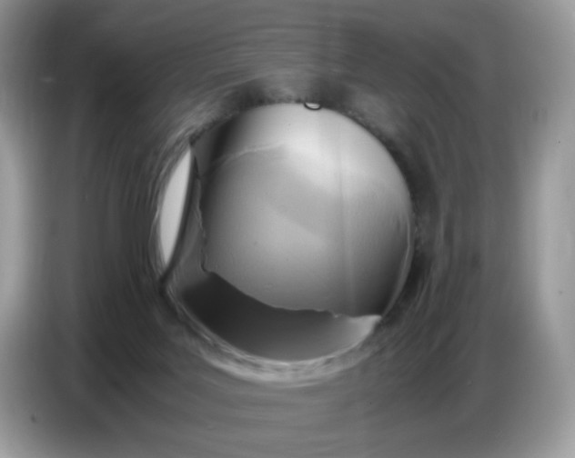 X0000086770027200704271759