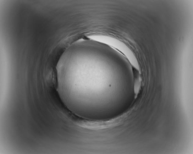 X0000086770029200704271759