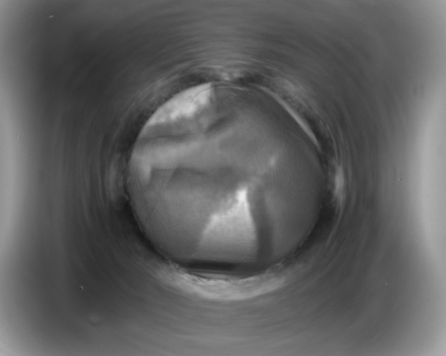 X0000086770030200704271759