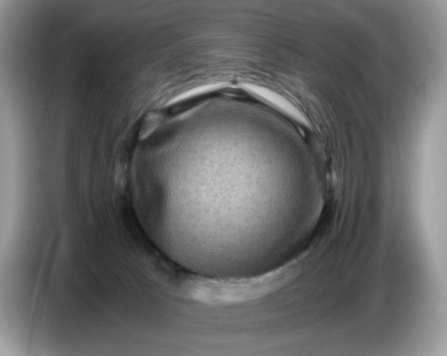 X0000086770033200704271759