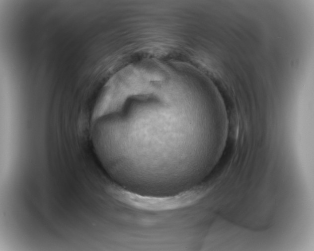 X0000086770034200704271759