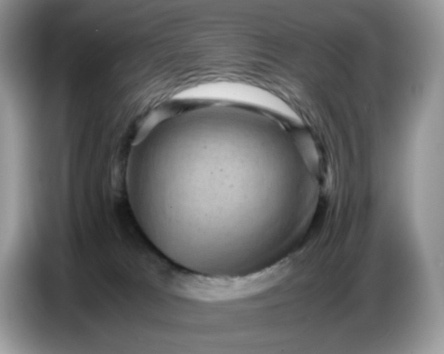 X0000086770037200704271759