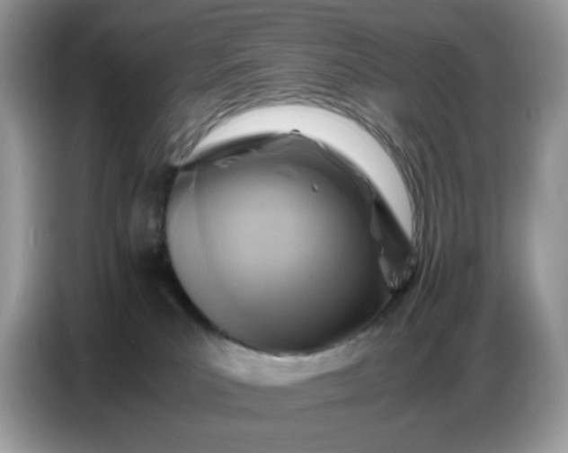 X0000086770039200704271759