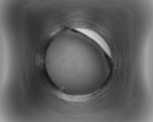 X0000086770040200704271759