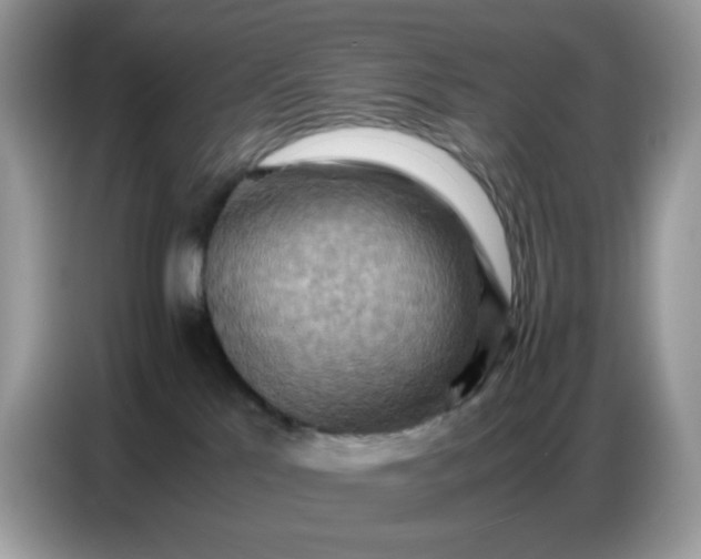 X0000086770041200704271759