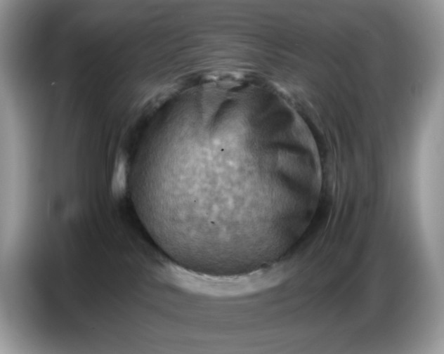 X0000086770042200704271759