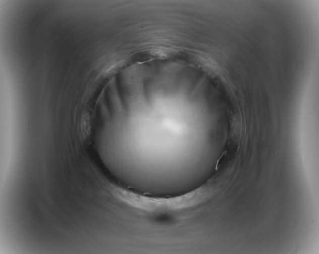 X0000086770043200704271759