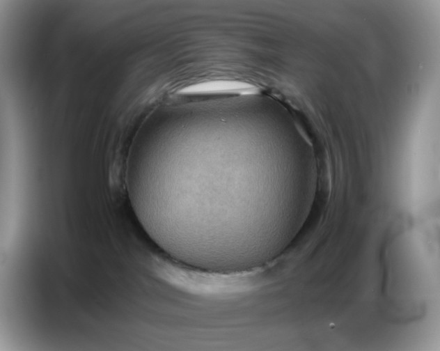 X0000086770044200704271759