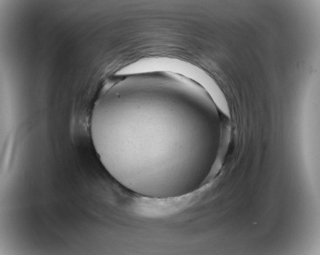 X0000086770045200704271759