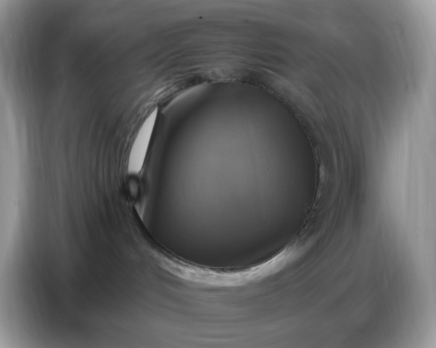 X0000086770048200704271759