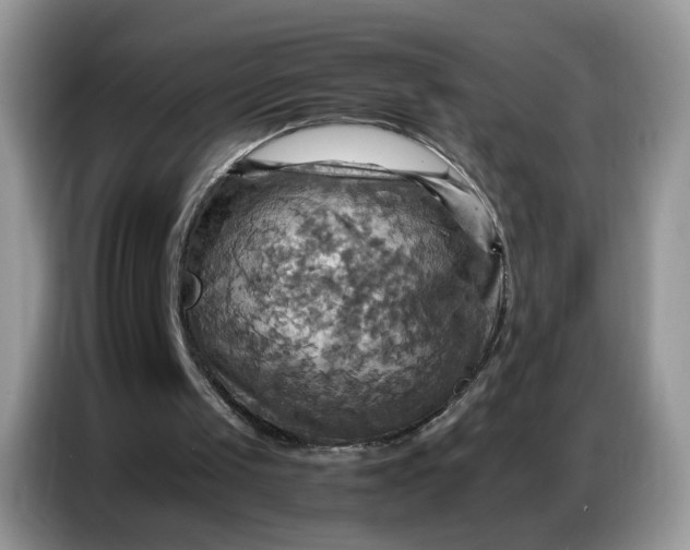 X0000086770049200704271758