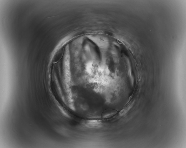 X0000086770053200704271758