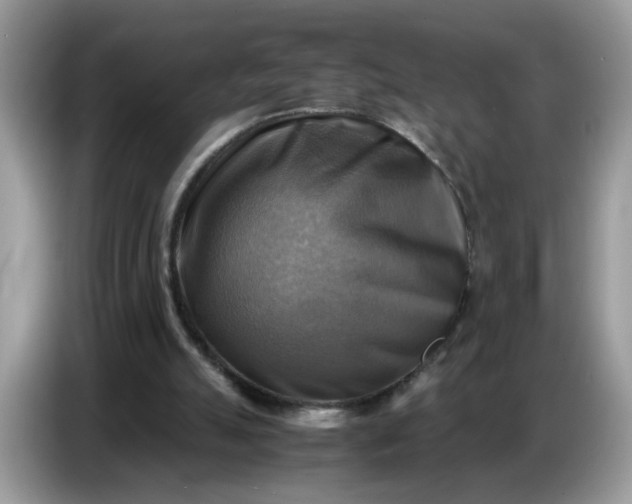 X0000086770055200704271758