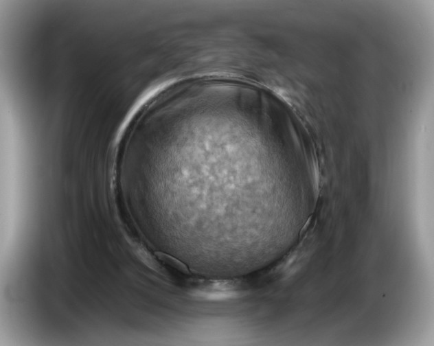 X0000086770056200704271758