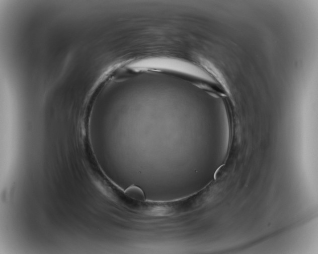 X0000086770059200704271758