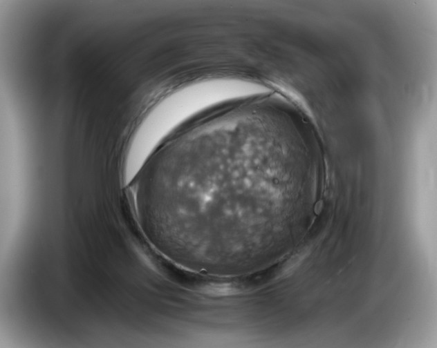 X0000086770061200704271758