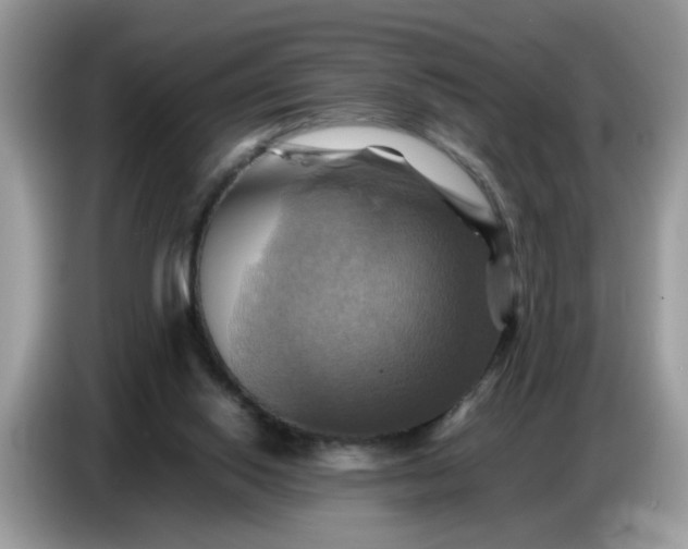 X0000086770062200704271758