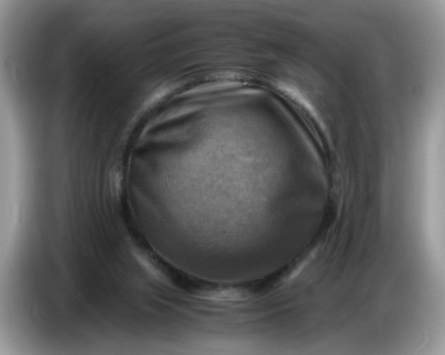 X0000086770063200704271758