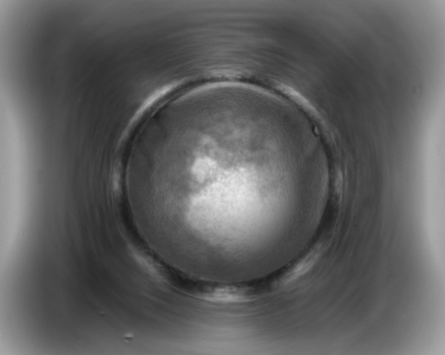 X0000086770064200704271758