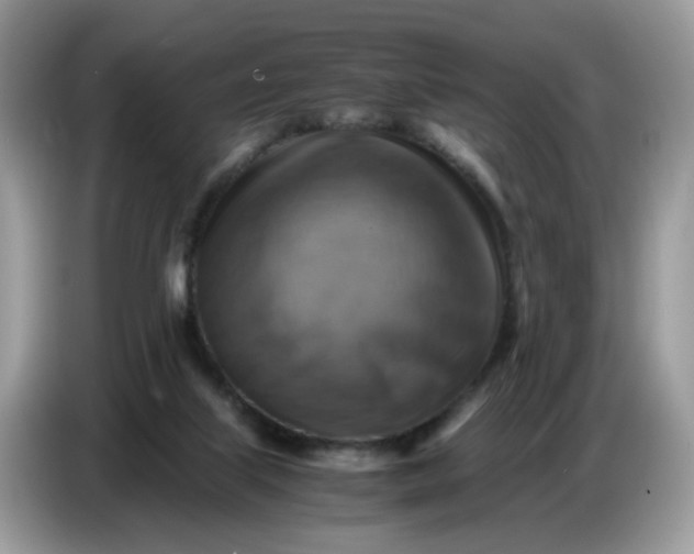 X0000086770067200704271758