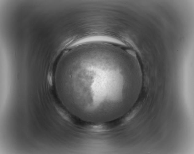 X0000086770068200704271758