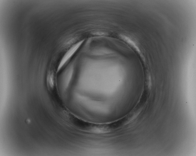 X0000086770069200704271758