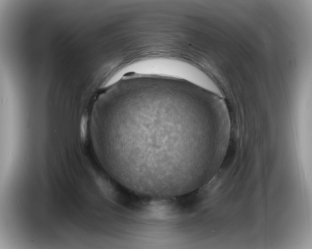 X0000086770070200704271758