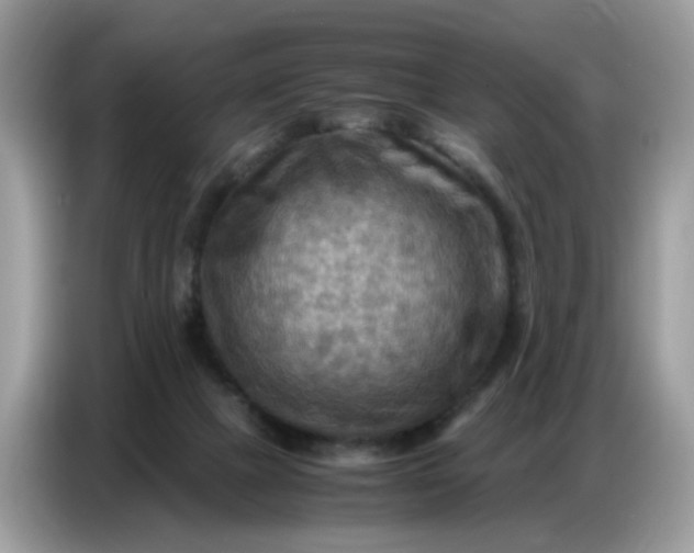 X0000086770073200704271758
