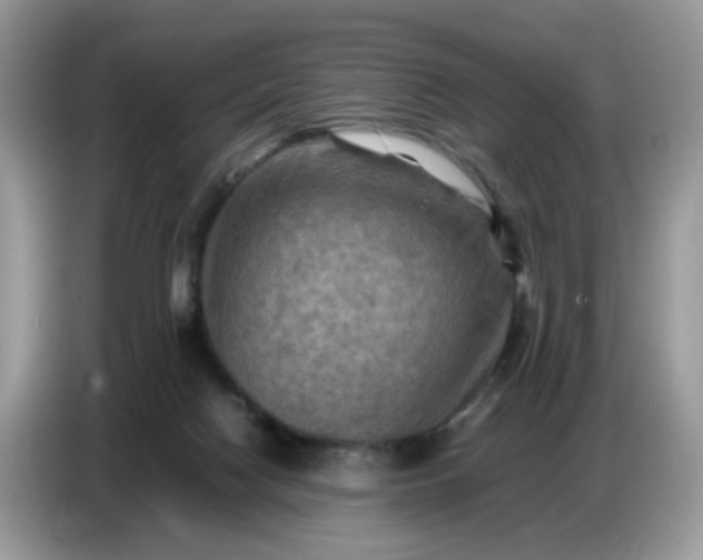 X0000086770074200704271758