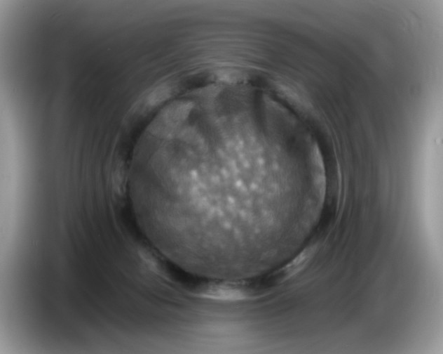X0000086770078200704271758