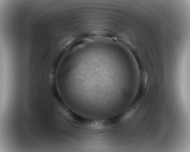X0000086770080200704271758