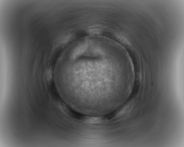 X0000086770081200704271758