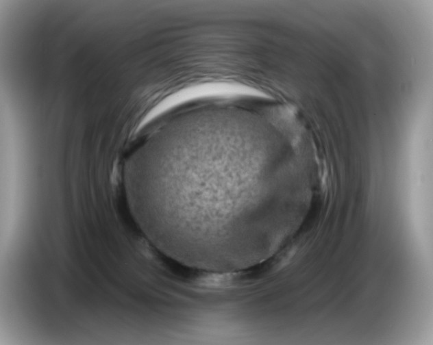X0000086770084200704271758