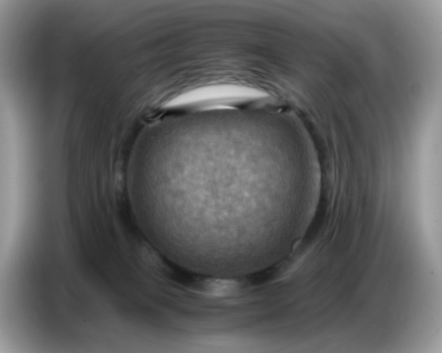 X0000086770085200704271758