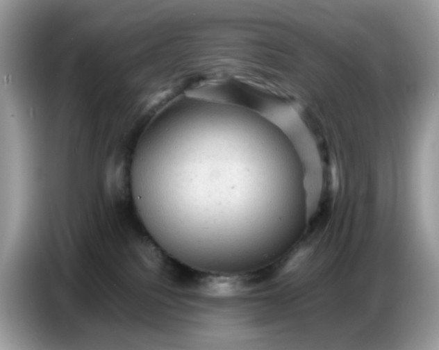 X0000086770088200704271758