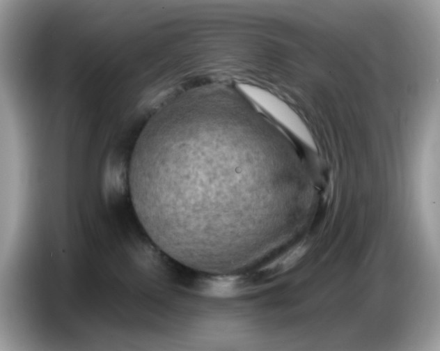 X0000086770090200704271758