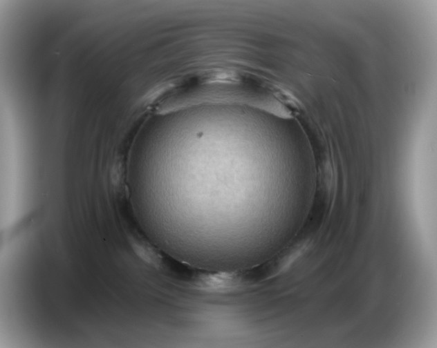 X0000086770092200704271758