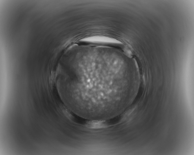X0000086770093200704271759
